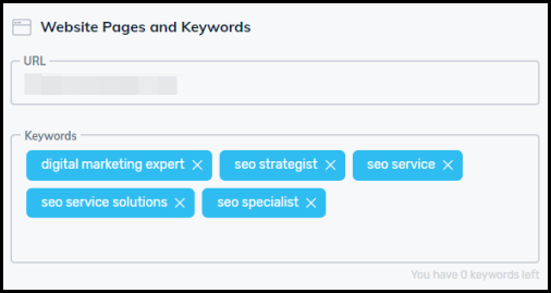 update keywords within the online marketing hub or seo tool step 3