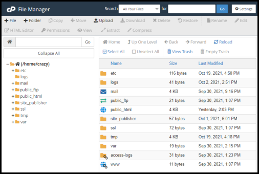 file manager interface cPanel via hosting manager