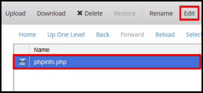 edit button at the top menu bar for the selected phpinfo file created