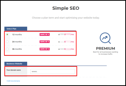 select simple seo plan term
