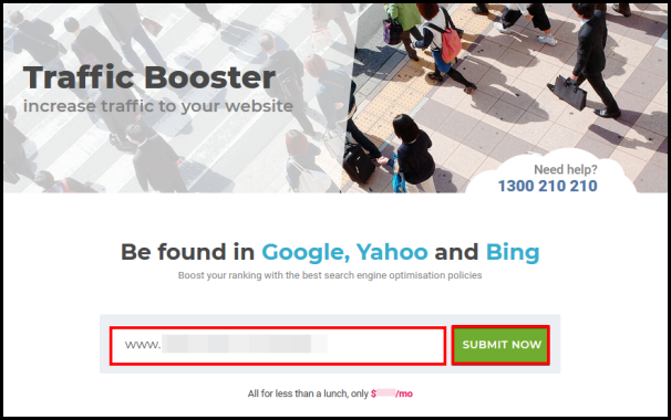enter domain name to activate traffic booster