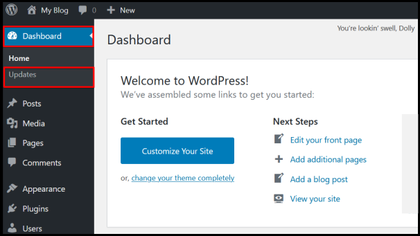 WordPress dashboard update to a newer version