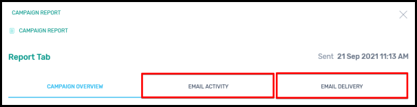 email activity delivery tabs reports in email marketing