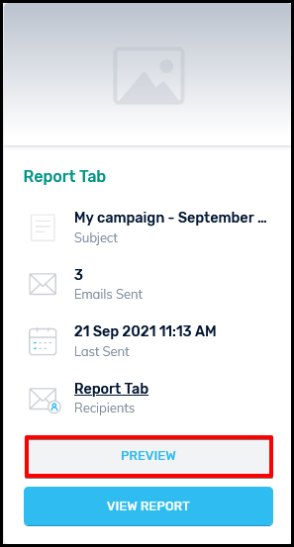 email marketing preview button