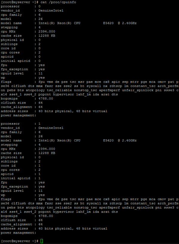 the CPU information on a Linux server screenshot