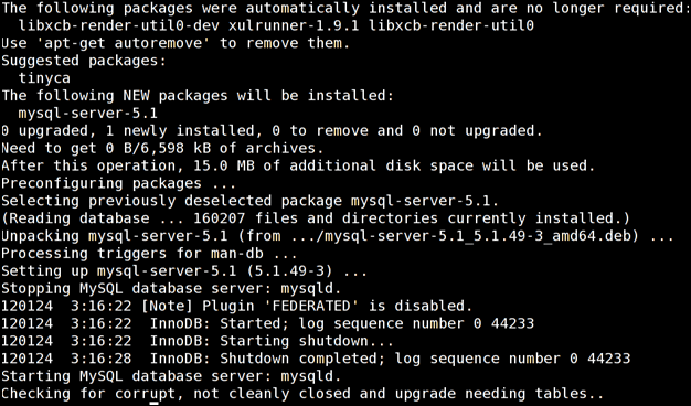 install a mysql database server on debian or ubunto step 7 success output