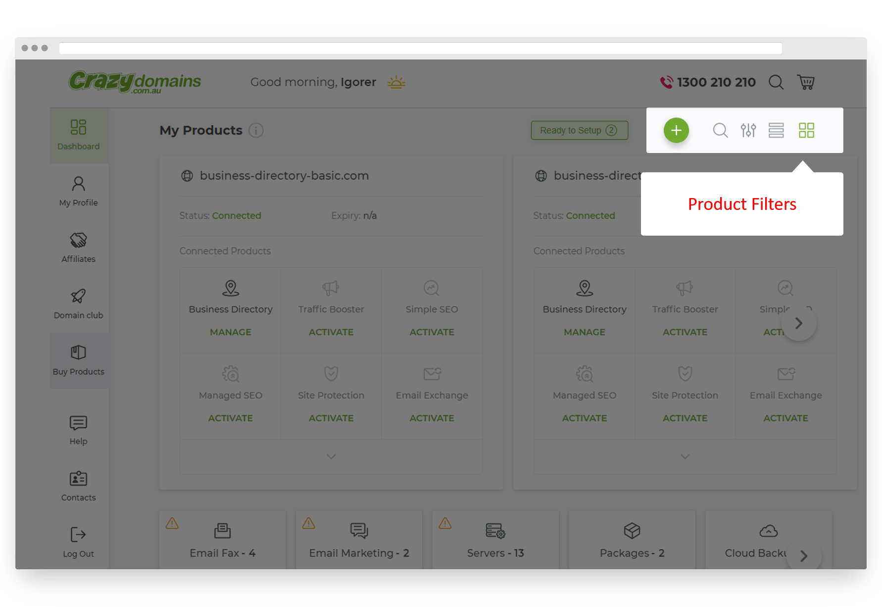Crazy Domains Account Dashboard Product Filter