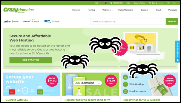spider crawling on website