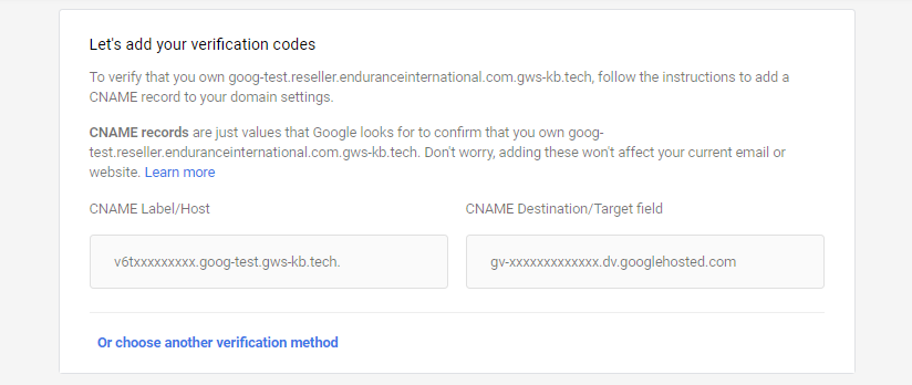 Sample Google Workspace Domain Verification Code as CNAME